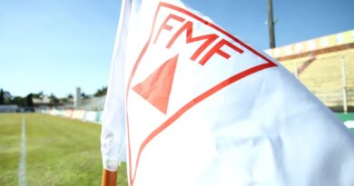 Bandeira da Federação Mineira de Futebol - FMF