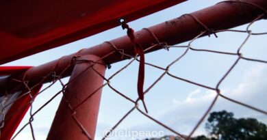 Grade do Alçapão do Bonfim - Estádio do Villa Nova