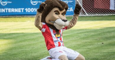 Mascote do Villa Nova, o Leão está presente nas cartelas do Jogo do Bicho